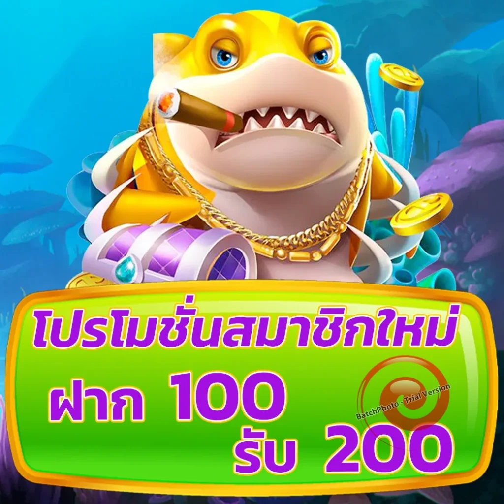 co 168 เว็บสล็อต 2024